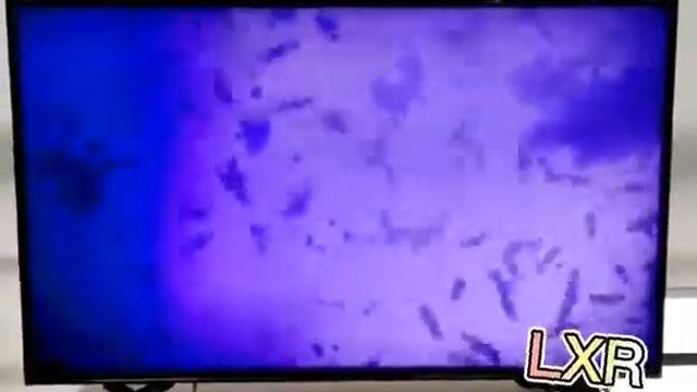 Влияние Светодиодов, применяемых в Рециркуляторах Раптор 3D AeroDinamic® на активность бактерий смотреть онлайн