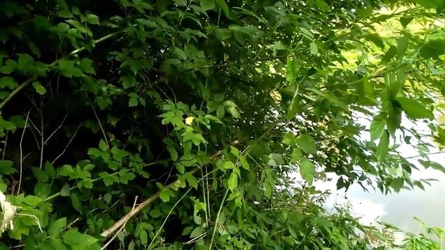 НА РЫБНОЙ ВОЛНЕ ЧАСТЬ_2 смотреть онлайн