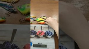 Ратлины И Цикады На Хищника