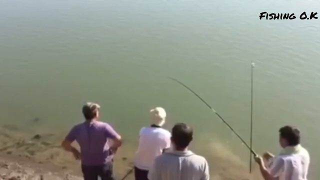 Рыбалка на сазана. Сирдаря #Рыбалка #сазан #fishing смотреть онлайн