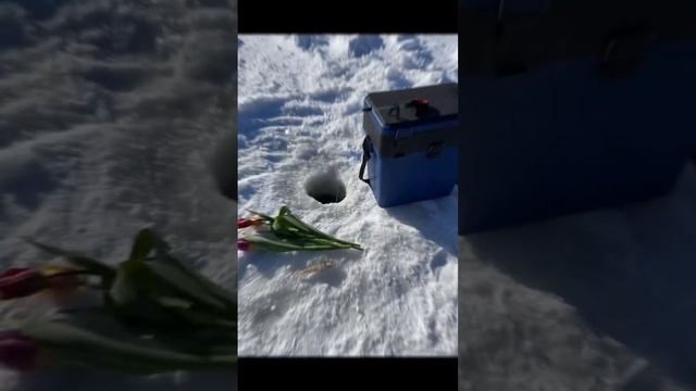 рыбалка 8 марта на реке Лена смотреть онлайн