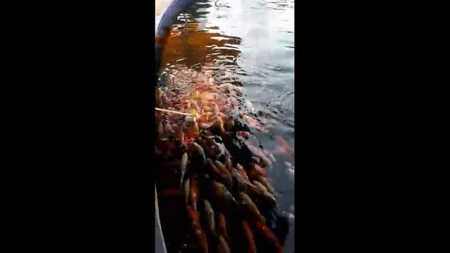 Поездка в Китай смотреть онлайн