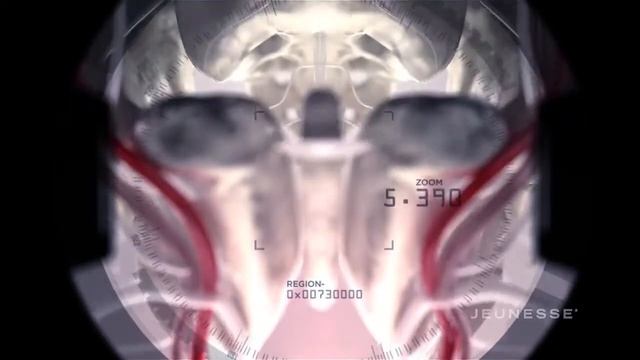 ПРОДУКТЫ ZEN Bodi служит для потери жира а не веса! смотреть онлайн