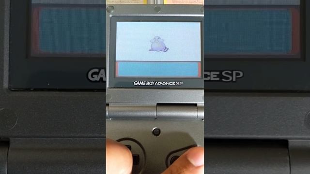Pokemon Emerald: Evolving Shiny Sealeo to Shiny Walrein смотреть онлайн
