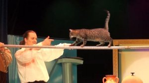 Новогоднее выступление Владимира Куклачёва 2014 г.