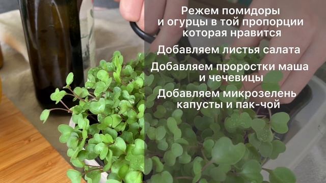 Салат с проростками и Микрозеленью смотреть онлайн