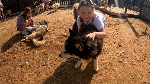 Хаскидеревня "Рузская Аляска" смотреть онлайн