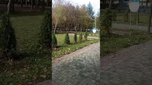 "Аллея Материнской Славы" в Комсомольском парке смотреть онлайн