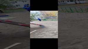 Попали в тюрьму на 24 часа