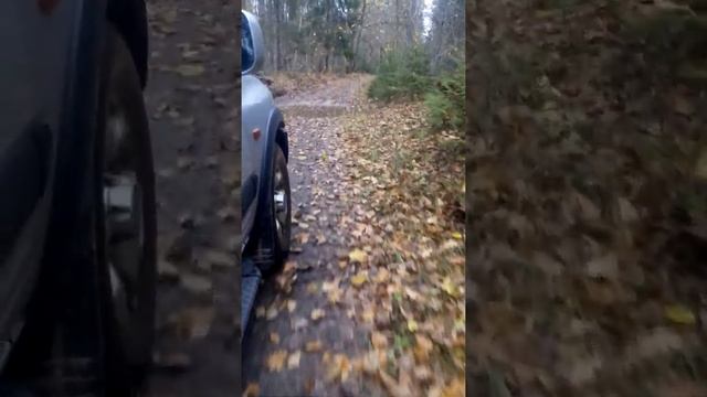 На рыбалку, а не за рыбой))) смотреть онлайн