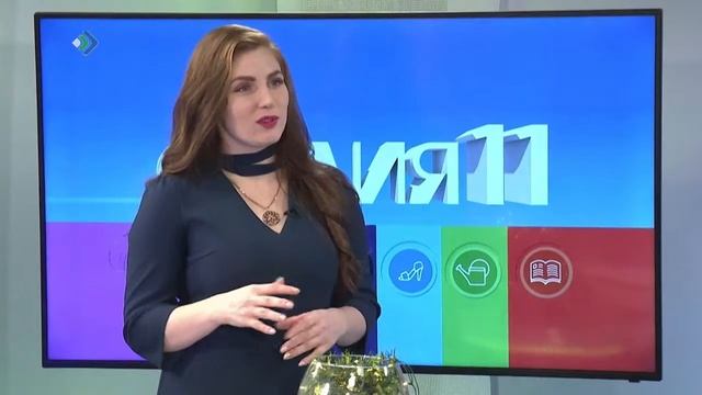 Новый год в каждый дом смотреть онлайн