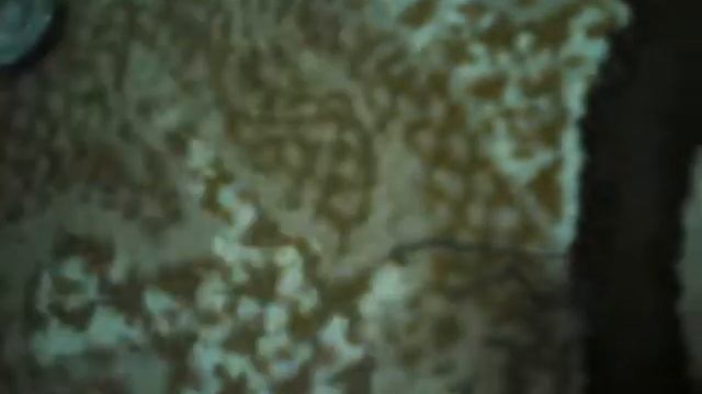 Много пуговиц смотреть онлайн