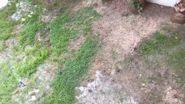 Вид из окна моей квартиры в Анталии смотреть онлайн