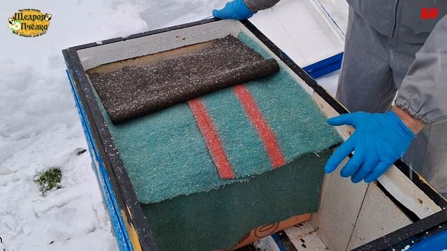 пчеловодство, честное частное мнение о Володе Жукове, пчеловоды объединимся! смотреть онлайн