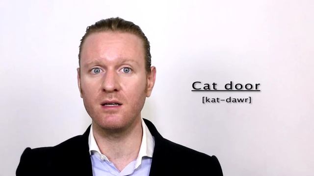 Cat Door - Meaning | Pronunciation || Word Wor(l)d - Audio Video Dictionary смотреть онлайн