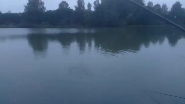 Ловля карпа на 7-м водоёме РК"ФИШКА"ПЕТРЯИХА смотреть онлайн