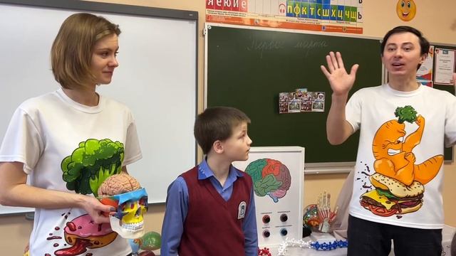 Интерактивный музей здоровья. Занятие «Таинственный мозг» в Образовательном центре «Горностай» смотреть онлайн