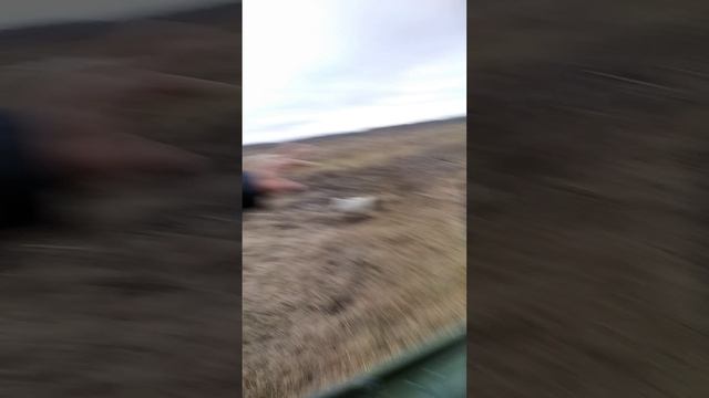 Дитрак 20 смотреть онлайн