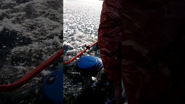 Как ставить жерлицы , отличный улов получился 👍👍