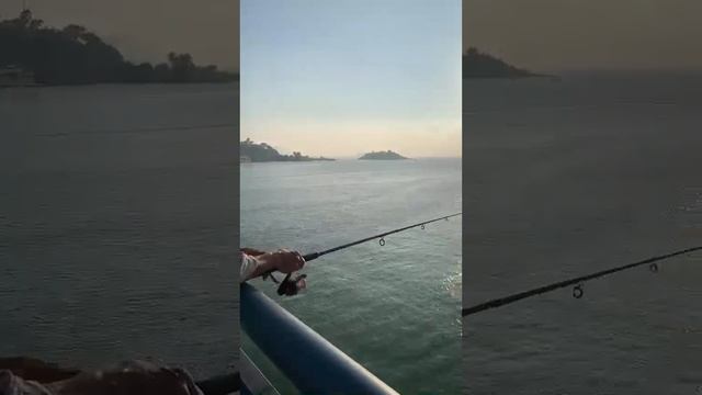 Fishing in the morning in Nha Trang смотреть онлайн