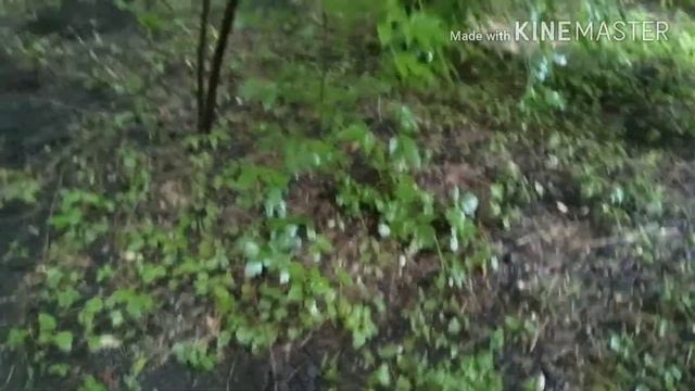 Металлокоп, копаю швеллер