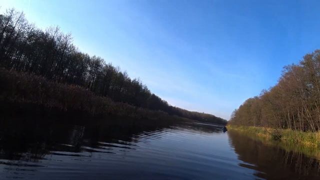 24.10.2020 Рыбалка с другом, лебеди, щука смотреть онлайн