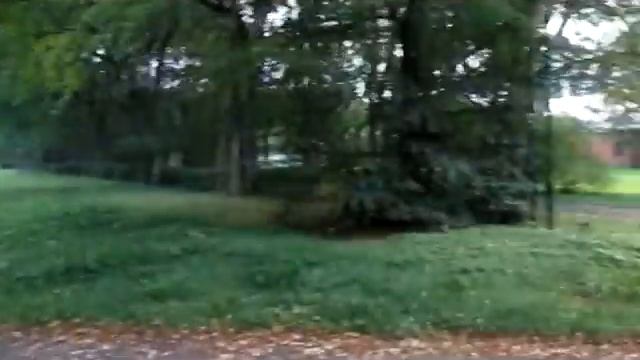 Историческое место. Усадьба в Знаменке.ПЕТЕРГОФ. смотреть онлайн