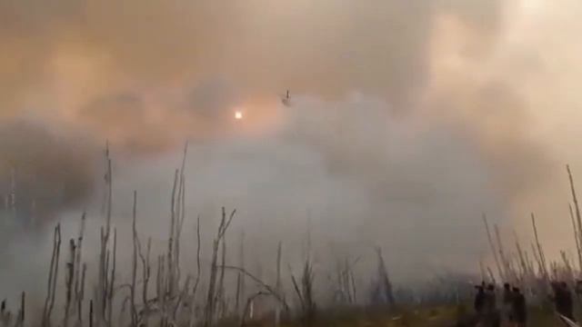 Siberian Wildfires | Largest Wildfires On The Planet Till Now