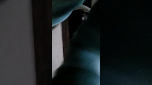 Что будет если не мыть руки 1 месяц? смотреть онлайн