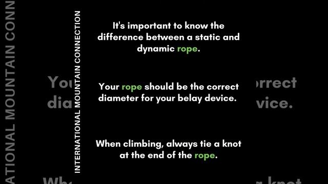 ROPE смотреть онлайн