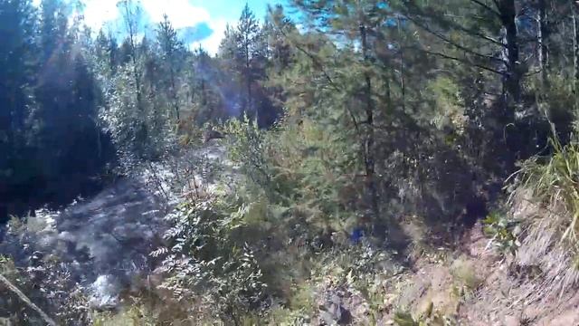 Нулевая рыбалка в "Золотушках" 12.08.2018. смотреть онлайн