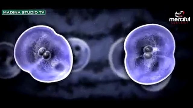 Атеизмни пучга чиқарувчи далиллар! (2-қисм) // Ateizmni puchga chiqaruvchi dalillar (2-qism). смотреть онлайн