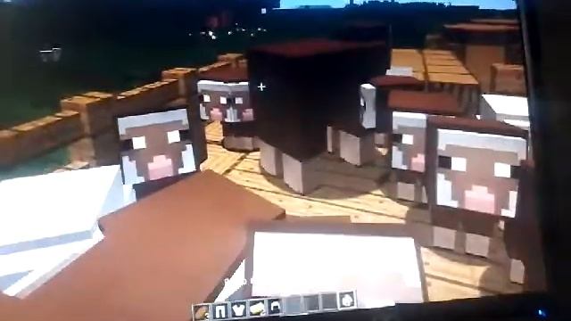 бахчи сарай овец