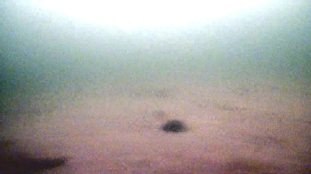 Яново (Бикульничи) - Часть 2 - Рыба найдена. Ловим на мормышку с мотылем. смотреть онлайн