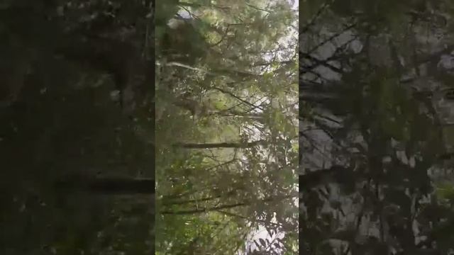 Bagram | Khanjar khil village | part2 | afghanistan.mp4 смотреть онлайн