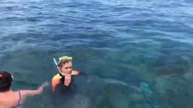 Снорклинг на Бали с Arrow Hotels And Resorts