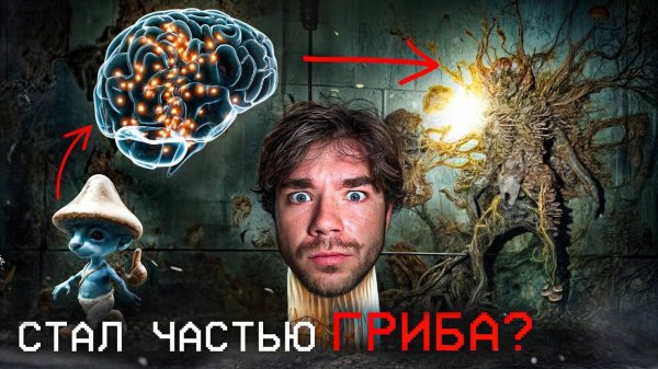 Интеллект без МОЗГА. Стоит ли бояться грибов? РазМИШления