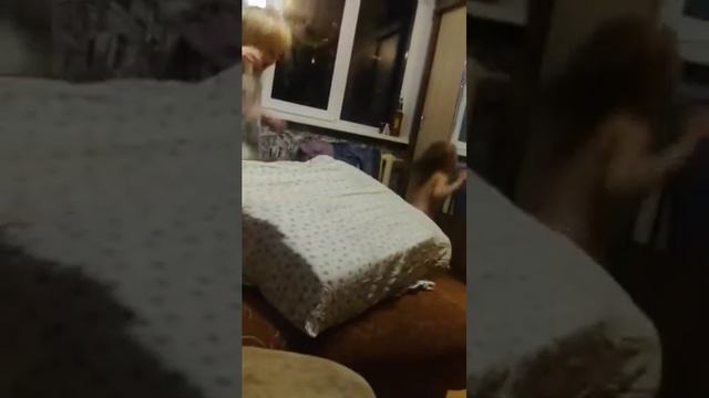 две сестры танцуют смотреть онлайн
