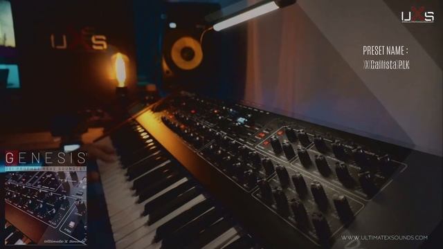 DAVE SMITH INSTRUMENTS PROPHET REV2 / GENESIS X SOUNDS Vol.1 / Playing through presets смотреть онлайн