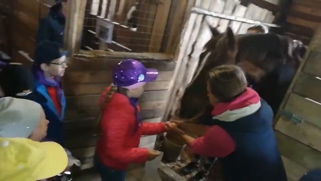 Летний лагерь "Дети-Initio", экскурсия в КСК "Пальмира", 8 июня 2018 г. смотреть онлайн