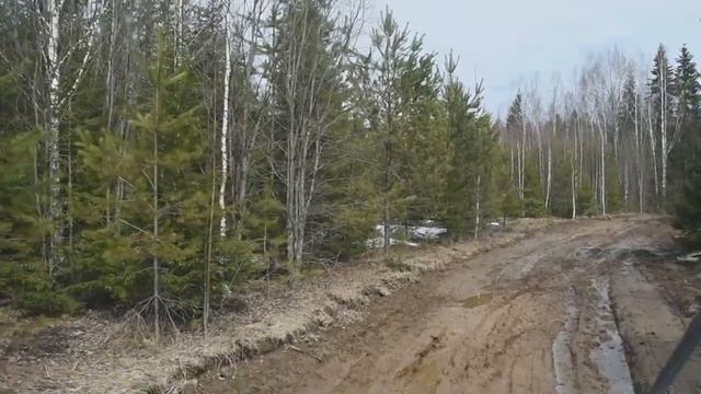 В лесу весной или... танки грязи не боятся