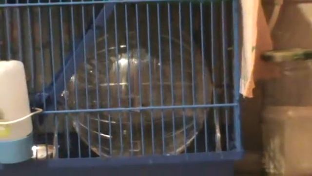 Шарое&ится2 смотреть онлайн