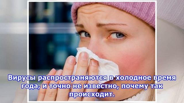 Как лечить простуду: бюджетные средства, которые действительно помогают