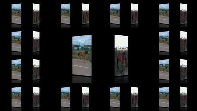 Продаю дом!!! Настоящим животноводам смотреть онлайн