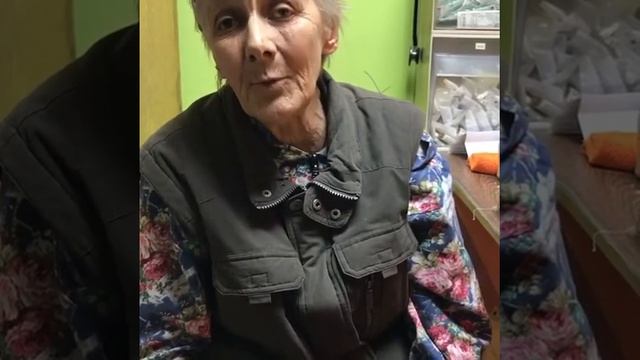 Приют "Каштанкин дом" смотреть онлайн