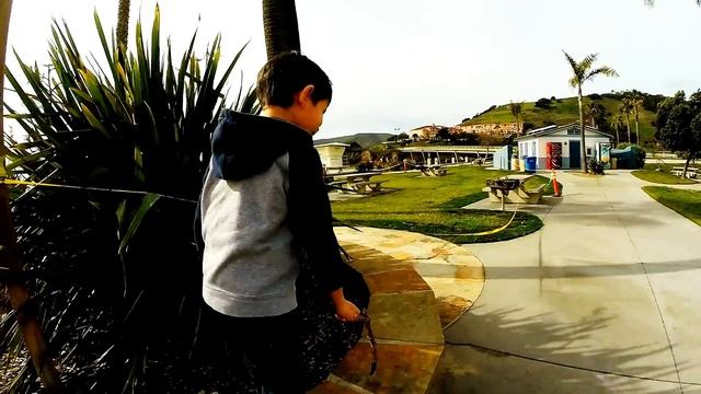 Dads Day with Boys: GoPro Quik Desktop app смотреть онлайн