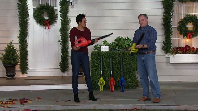 Sun Joe Lightweight 20V Cordless Rechargeable Blower/Sweeper on QVC смотреть онлайн