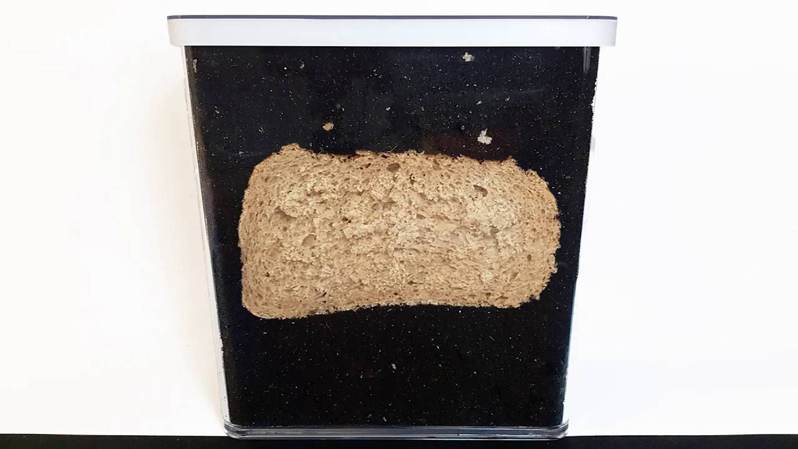 WHAT HAPPENS TO BREAD UNDERGROUND？ - Time Lapse [4K]