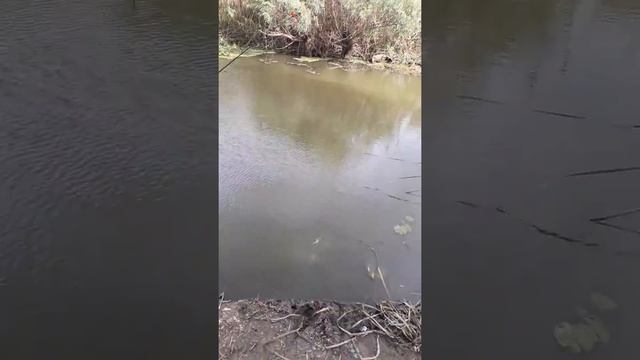 Астрахань осень 2018 смотреть онлайн