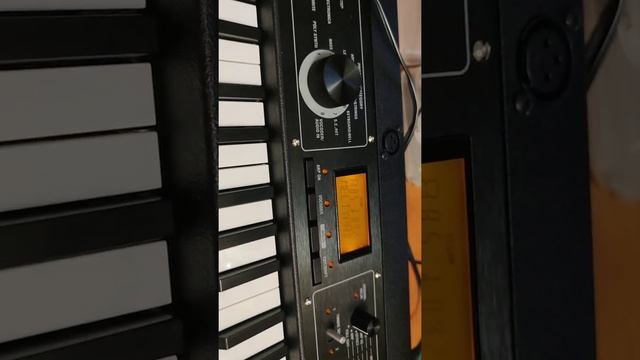 Korg Microkorg Xl+ 2021 Spb Demo Test